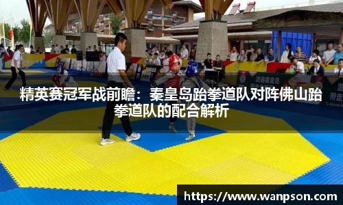 精英赛冠军战前瞻：秦皇岛跆拳道队对阵佛山跆拳道队的配合解析